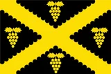Vlag van Wijnegem