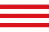 Vlag van Lier