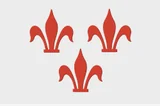 Vlag van Rotselaar