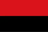 Flag of Zoutleeuw