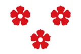Vlag van Ardooie