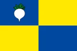 Flag of Sint-Gillis-Waas