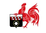 Drapeau de Charleroi