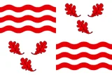 Drapeau de Froidchapelle