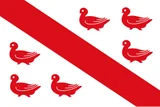 Flag of Tinlot