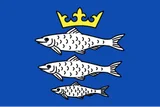Flag of Chiny